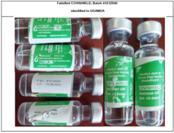Photographs of products subject of WHO Medical Product Alert N°52021.png